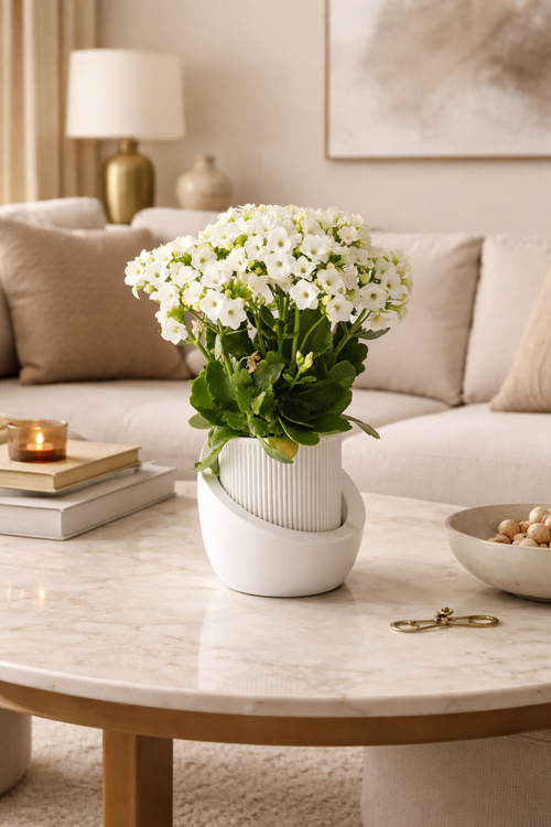 Vaso auto irrigável Japandi